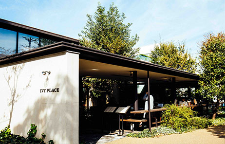 IVY PLACE